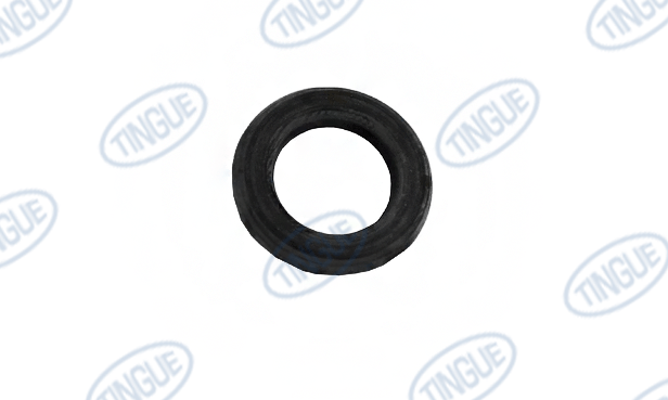 Hypro T-1 REBUILD KIT, VALVE, LIFTING ARM