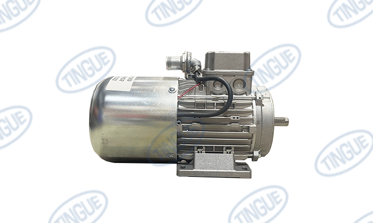 shop.tingue.com T-11 MOTOR