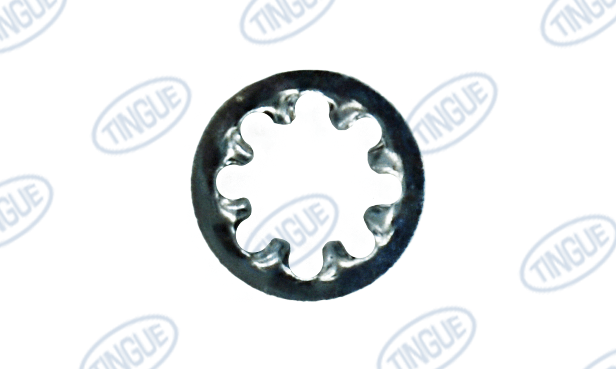 Tingue Brown T-8 WASHER