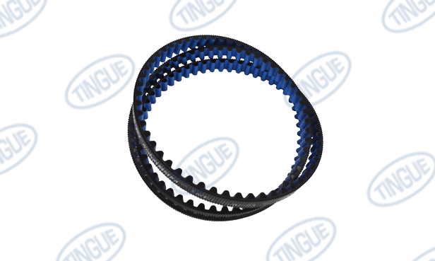 Braun T-11 BELT, POLYCHAIN