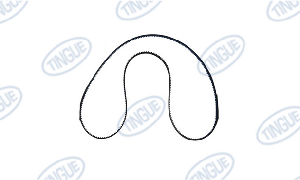 Braun T-11 BELT, POLYCHAIN