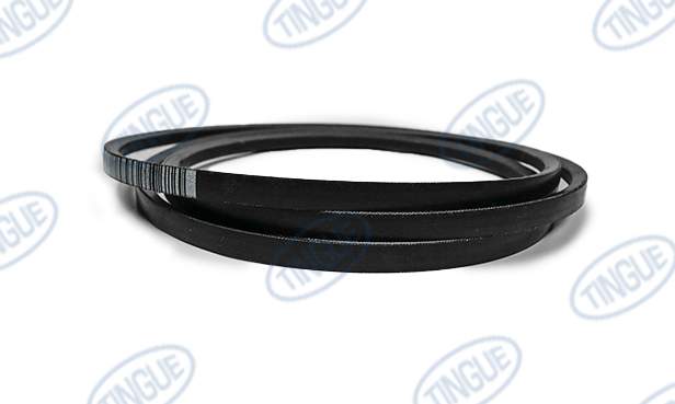 shop.tingue.com T-11 BELT