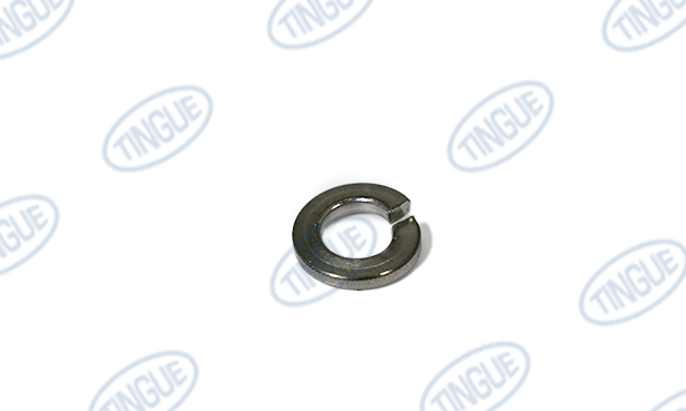 shop.tingue.com T-11 1/4" LOCK WASHER
