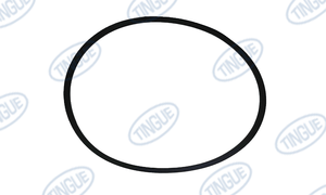 BR-040600008  -  BELT