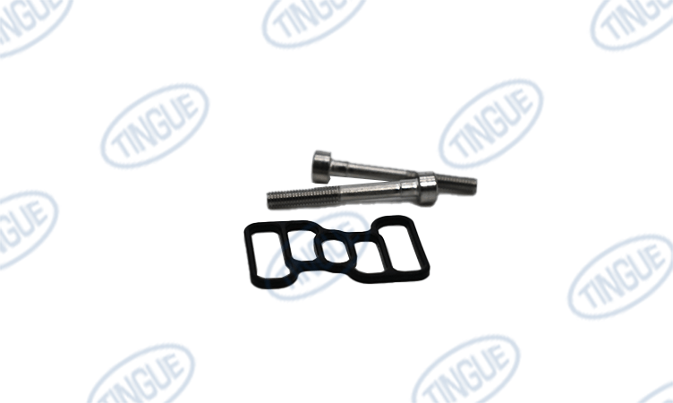 shop.tingue.com T-11 VALVE DUAL COIL 4 WAY 120V DOOR