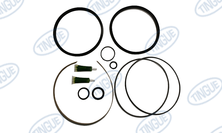 SEAL KIT 8"