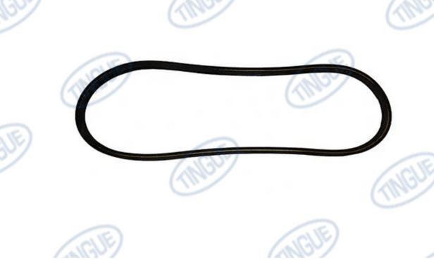 shop.tingue.com T-11 BELT V 4L300 GATES