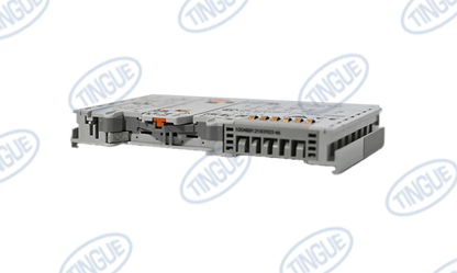 shop.tingue.com T-11 INPUT