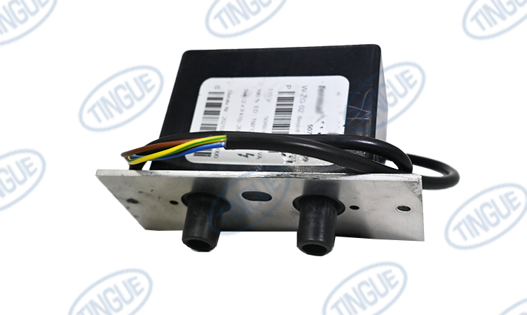 IGNITOR STARTER 110V/60HZ