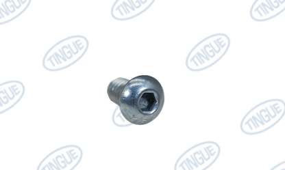 Tingue Parts Store T-11 SCREW, BUTTON SOCKET HEAD