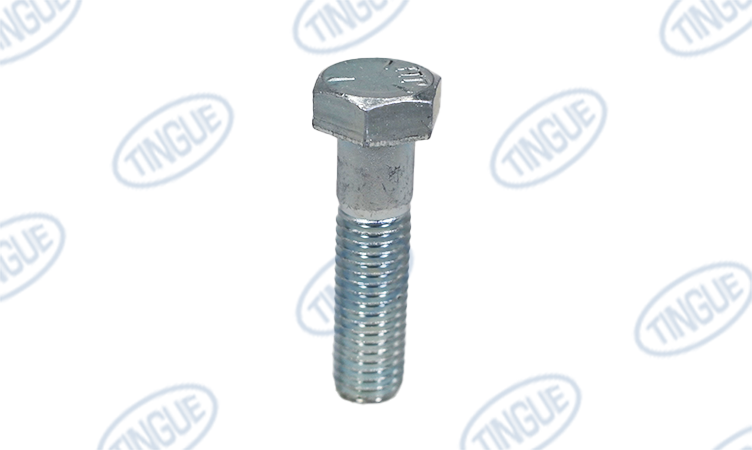 HEX HED M/S