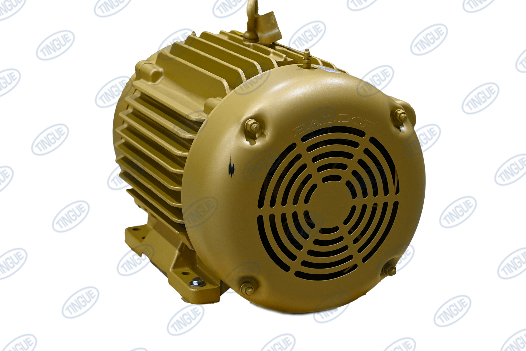 Tingue Brown T-1 MOTOR, 10HP