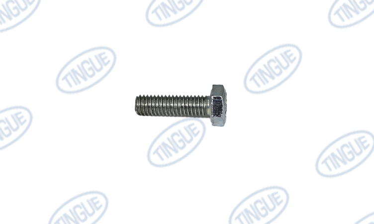 HEX HEAD SCREW SS 1/4