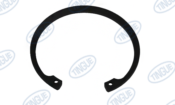 Hypro T-11 RETAINING RING, BULL GEAR