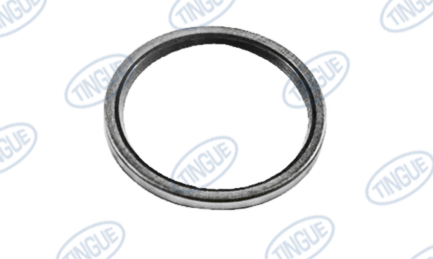 Hypro T-1 SEAL