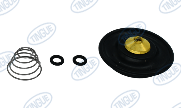 shop.tingue.com T-11 REPAIR KIT, FOR VALVE 2067067