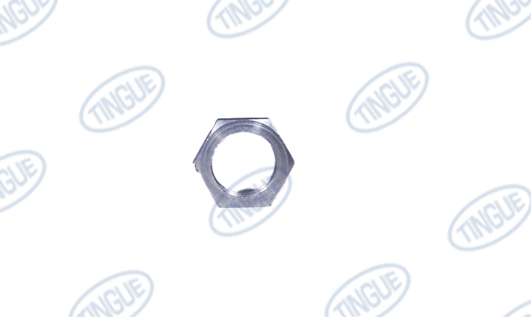 shop.tingue.com T-11 PHOTOSENSOR NUT FOR 30.600.720 PHOTOCELL