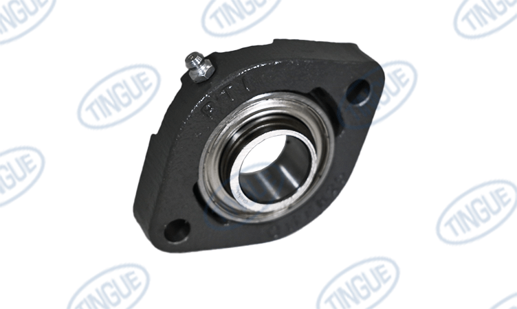 shop.tingue.com T-11 FLANGE BEARING 25