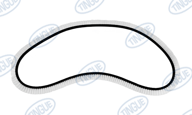 shop.tingue.com T-11 V-BELT, BRUSH, 2443MM, A-95