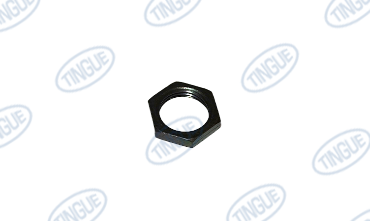 NUT,JAM,FOR 5029004