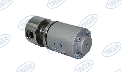 STEAM VALVE 1/4''