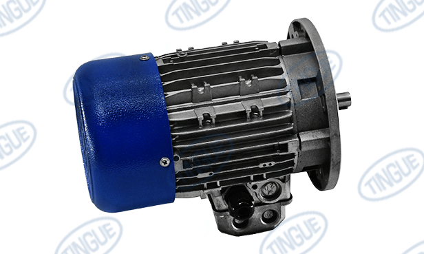 shop.tingue.com T-6 MOTOR, 0.12KW, 670RPM REPLACED BY JN-5051729