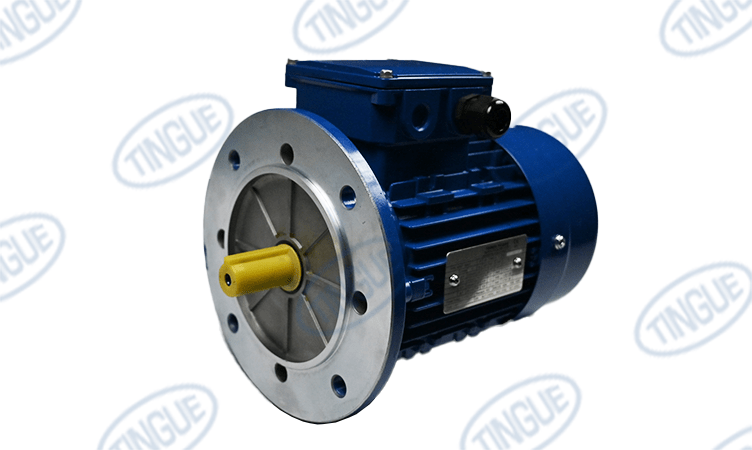 shop.tingue.com T-11 VACUUM MOTOR 0.75KW REPLACED JN-5051017