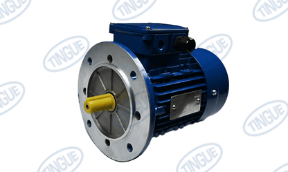 shop.tingue.com T-11 VACUUM MOTOR 0.75KW REPLACED JN-5051017