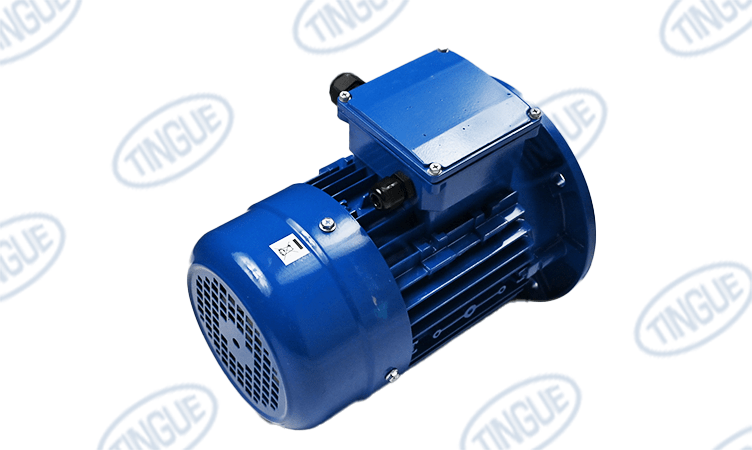 shop.tingue.com T-11 VACUUM MOTOR 0.75KW REPLACED JN-5051017