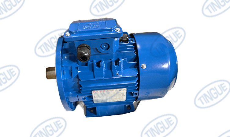 shop.tingue.com T-11 MOTOR/T3A 90S-2 1.5KW B35 2900 RPM