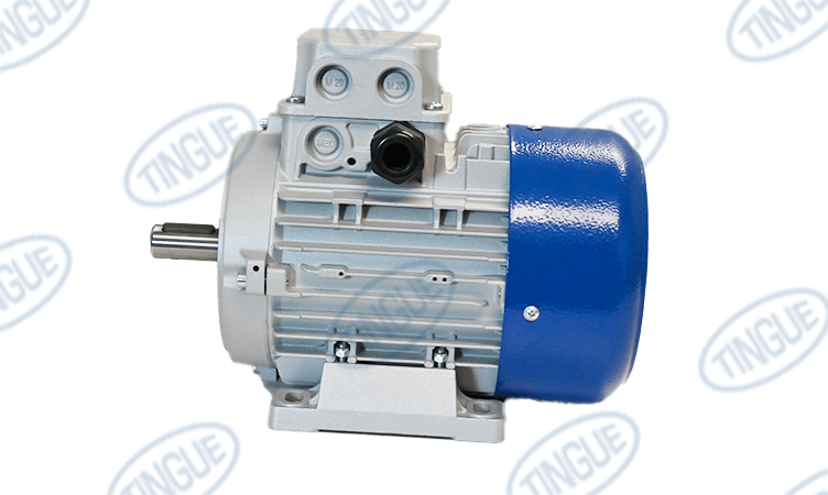 shop.tingue.com T-11 GEAR MOTOR 0.25 KW
