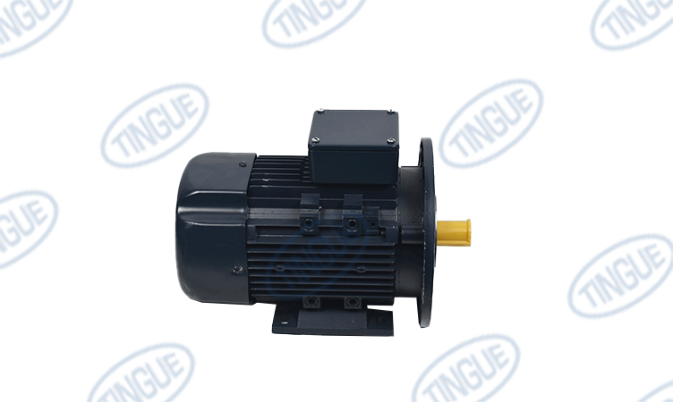 shop.tingue.com T-11 MOTOR