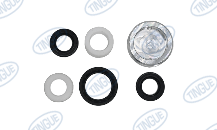 shop.tingue.com T-11 SEALING KIT F. DRAIN VALVE2 1/2' NIRO