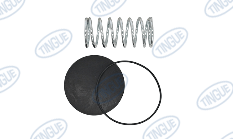 shop.tingue.com T-11 SEALING KIT F. DRAIN VALVE2 1/2' NIRO