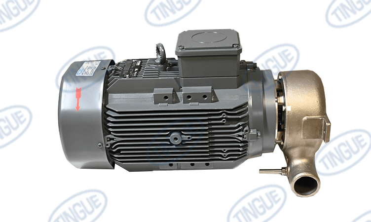 shop.tingue.com T-11 PUMP 4KW