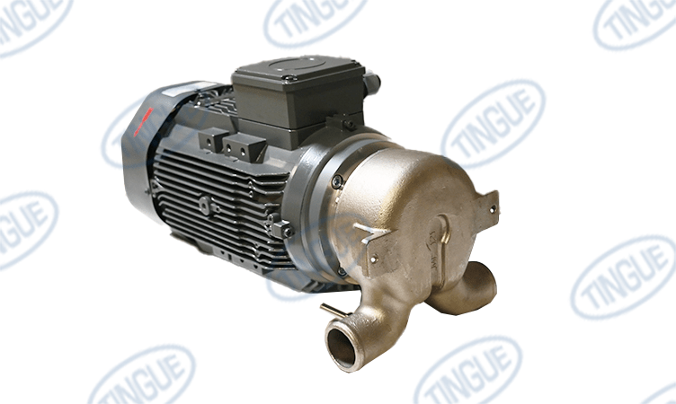 shop.tingue.com T-11 PUMP 4KW