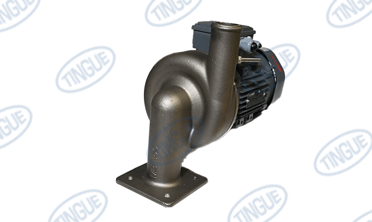 shop.tingue.com T-11 1.7KW PUMP