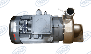 JN-700280841  -  PUMP 2.5 KW