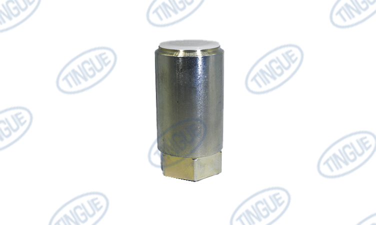 shop.tingue.com T-11 CHECK VALVE   HYDRAULIC  REXROTH S20A00-1X/450J3