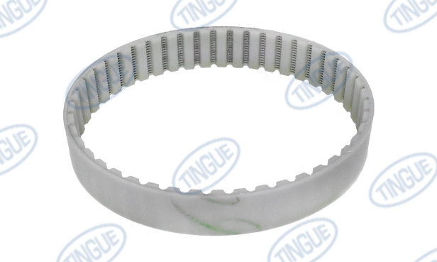 Drive Belt for Conveyor
