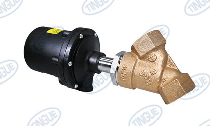 shop.tingue.com T-11 WATER VALVE DN25