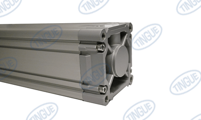 shop.tingue.com T-11 CYLINDER 125X250