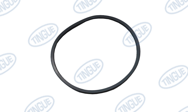 ML-02-02366 - GASKET DOOR GLASS