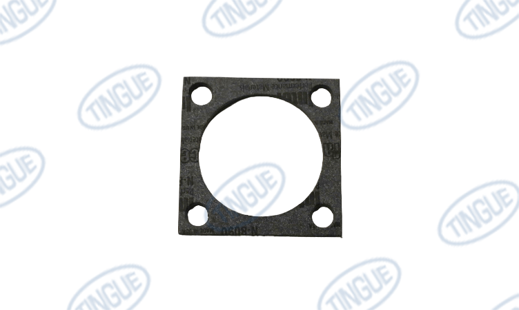 shop.tingue.com T-6G ML-02-14647G  -  GASKET REDESIGN STM SPARGER