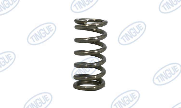 shop.tingue.com T-11 SPRING=DOOR STAINLESS STEEL
