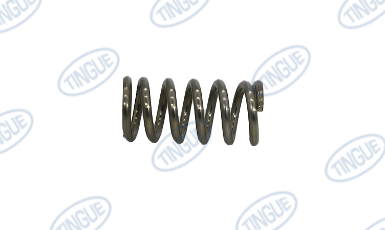 shop.tingue.com T-11 SPRING=DOOR STAINLESS STEEL