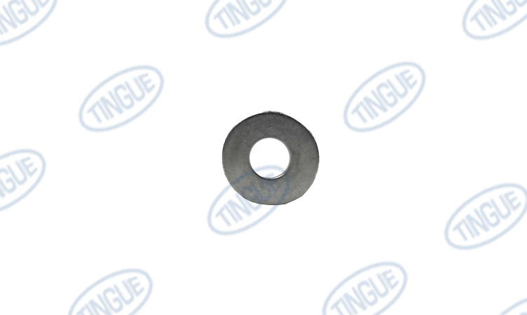 shop.tingue.com T-8 FLAT WASHER