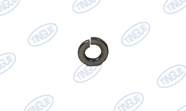 shop.tingue.com T-12 LOCKWASHER, 3/8"
