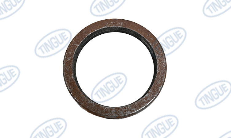 shop.tingue.com T-11 SEAL 3.75X4.75X.500 CS/BUNA
