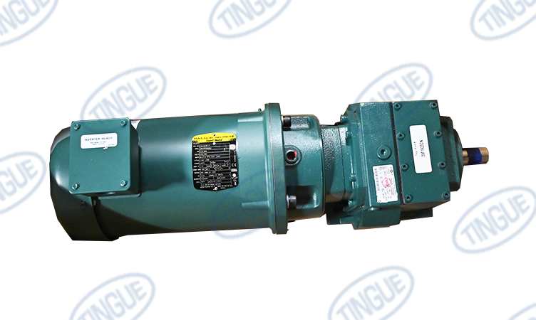 GEAR MOTOR